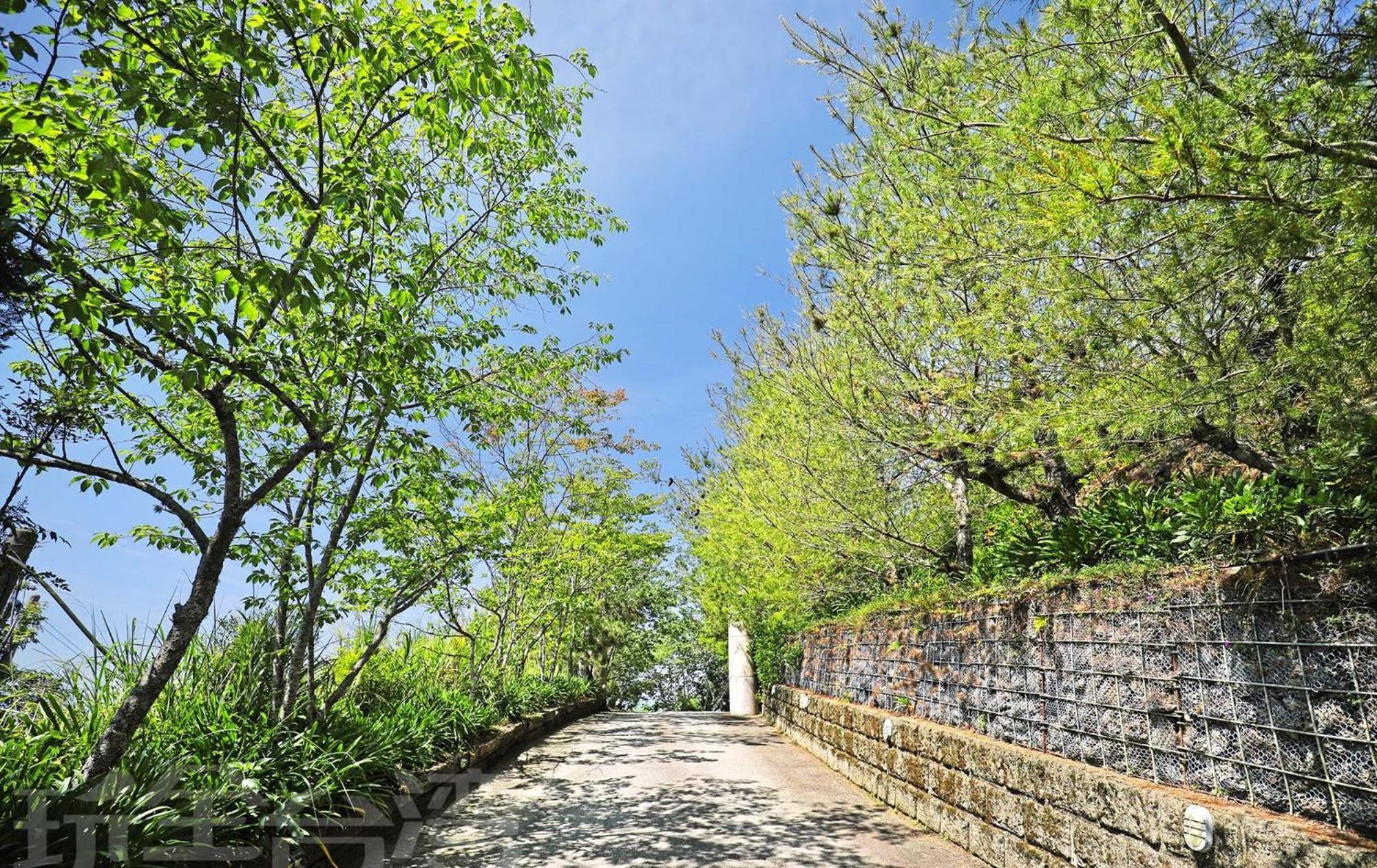 Апартаменты 清境 百里莊園 Baili Manor Cing Jing Ренай Экстерьер фото