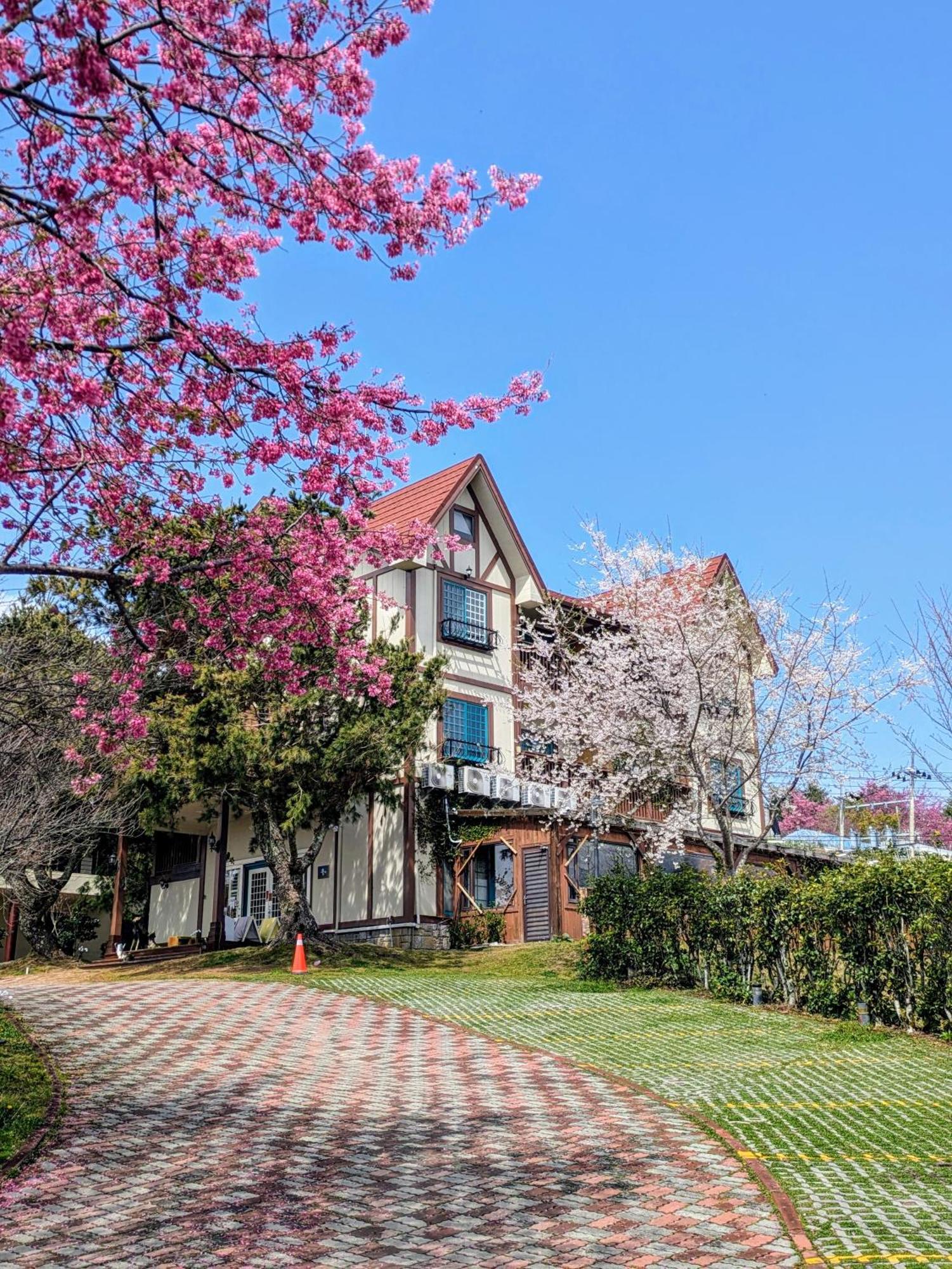 Апартаменты 清境 百里莊園 Baili Manor Cing Jing Ренай Экстерьер фото